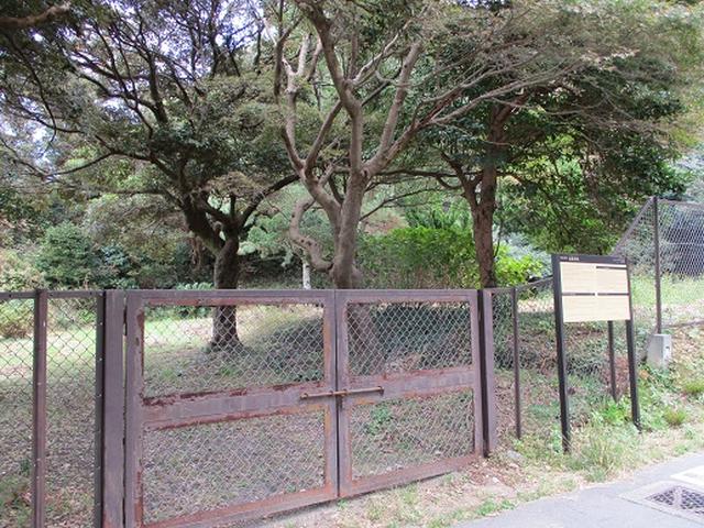 画像7: 【山旅会・登山ガイドこだわりツアー】岡田ガイドからの便り・散在ヶ池から祇園山ツアーの下見にいってまいりました!