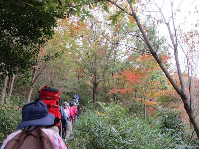 画像2: 【山旅会・登山ガイドこだわりツアー】岡田ガイドからの便り・安土城と繖(きぬがさ)山ツアーにいってまいりました!