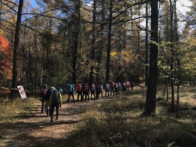 画像: 毛木平登山口付近