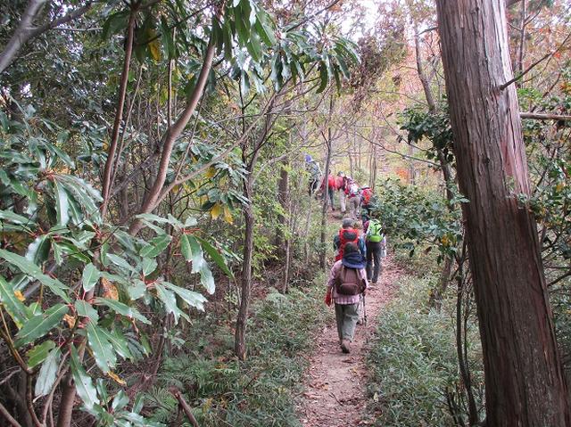 画像3: 【山旅会・登山ガイドこだわりツアー】岡田ガイドからの便り・安土城と繖(きぬがさ)山ツアーにいってまいりました!