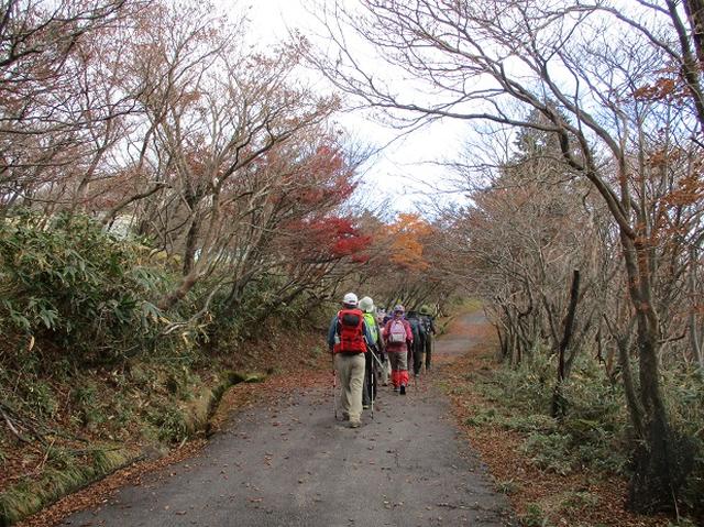 画像11: 【山旅会・登山ガイドこだわりツアー】岡田ガイドからの便り御在所岳ツアーにいってまいりました!