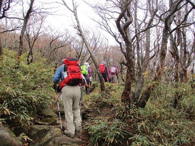 画像4: 【山旅会・登山ガイドこだわりツアー】岡田ガイドからの便り御在所岳ツアーにいってまいりました!