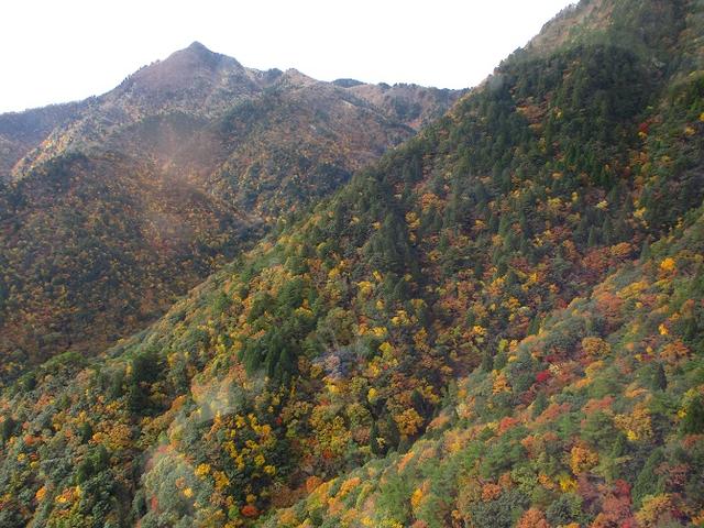 画像2: 【山旅会・登山ガイドこだわりツアー】岡田ガイドからの便り御在所岳ツアーにいってまいりました!