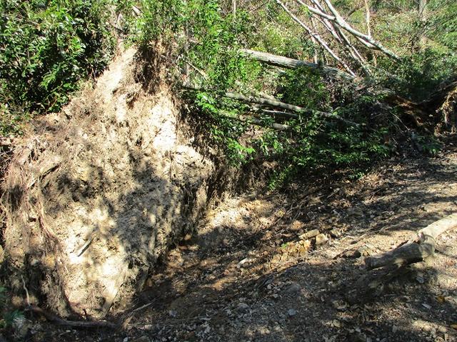 画像3: 【山旅会・登山ガイドこだわりツアー】岡田ガイドからの便り・大文字山の下見にいってまいりました!