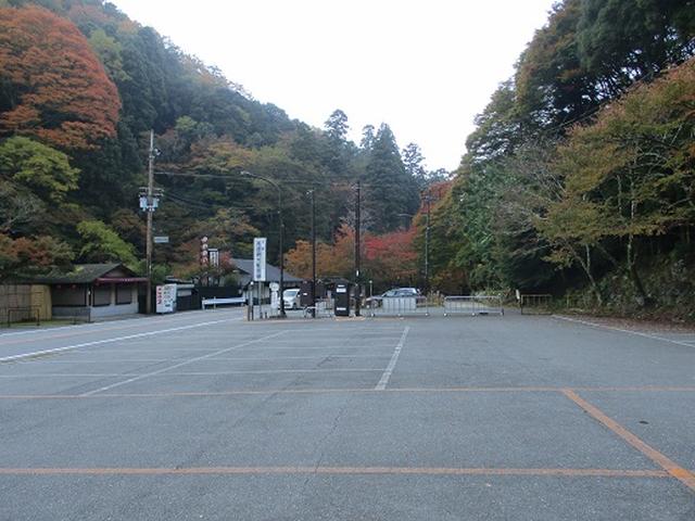 画像1: 【山旅会・登山ガイドこだわりツアー】岡田ガイドからの便り高雄から嵐山ツアーの下見にいってまいりました!
