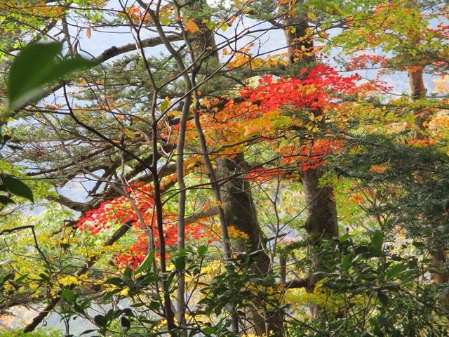 画像8: 【山旅会・登山ガイドこだわりツアー】岡田ガイドからの便り・和田峠から市道山ツアーにいってまいりました!