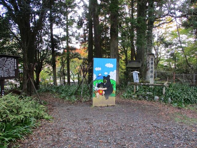 画像9: 【山旅会・登山ガイドこだわりツアー】岡田ガイドからの便り矢倉岳の下見にいってまいりました!