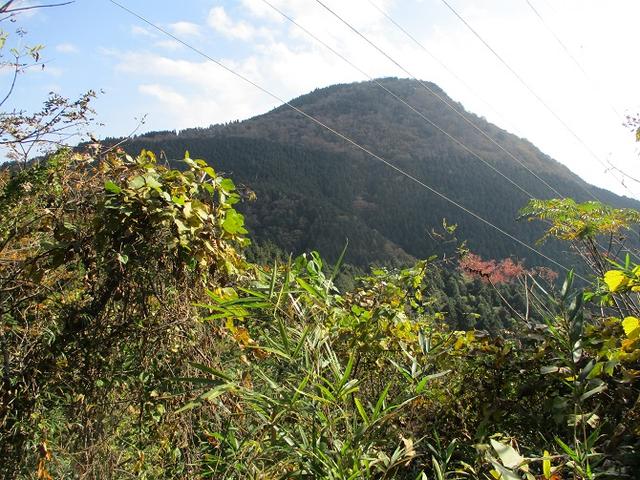 画像8: 【山旅会・登山ガイドこだわりツアー】岡田ガイドからの便り矢倉岳の下見にいってまいりました!