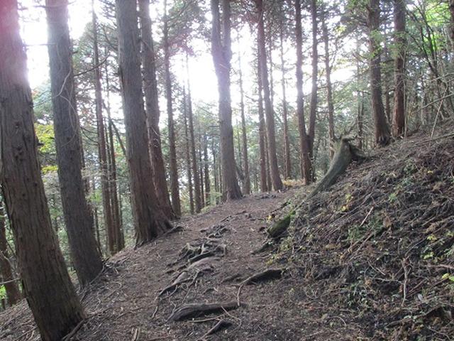 画像7: 【山旅会・登山ガイドこだわりツアー】岡田ガイドからの便り矢倉岳の下見にいってまいりました!