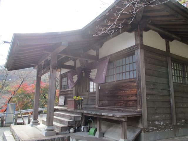 画像10: 【山旅会・登山ガイドこだわりツアー】岡田ガイドからの便り矢倉岳の下見にいってまいりました!