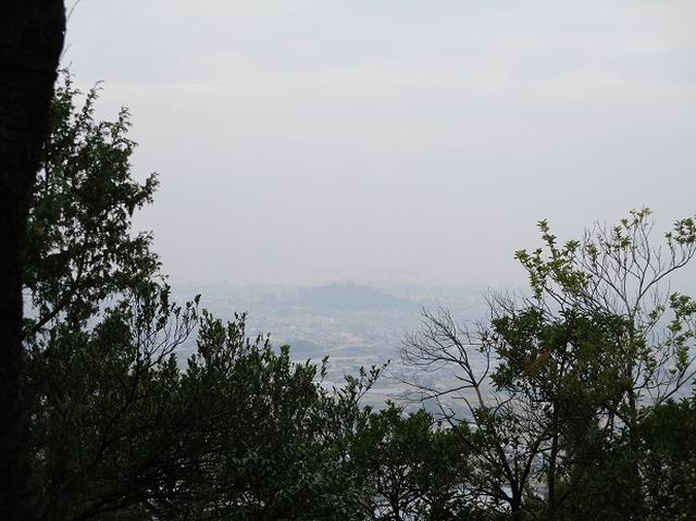 画像3: 【山旅会・登山ガイドこだわりツアー】岡田ガイドからの便り飯野山ツアーにいってまいりました!