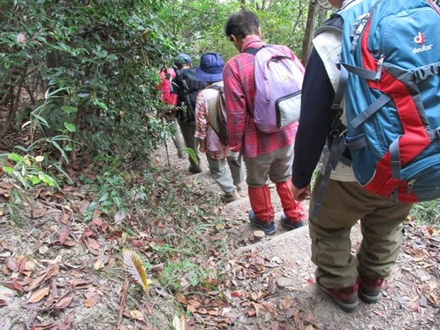 画像7: 【山旅会・登山ガイドこだわりツアー】岡田ガイドからの便り飯野山ツアーにいってまいりました!
