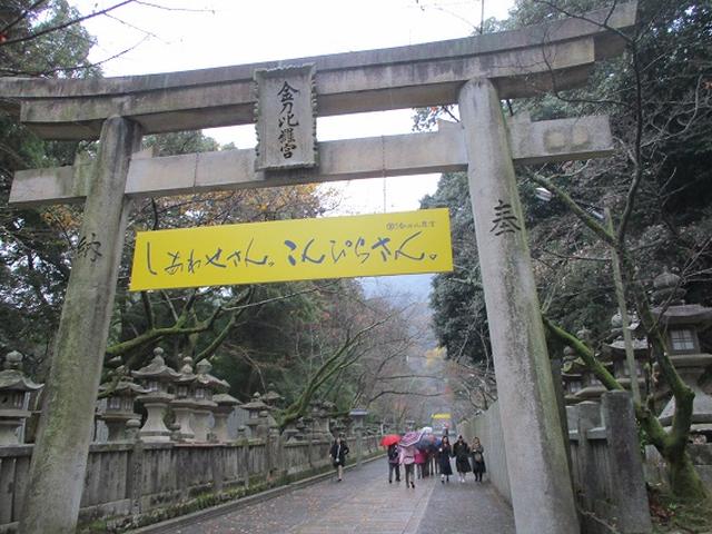 画像8: 【山旅会・登山ガイドこだわりツアー】岡田ガイドからの便り飯野山ツアーにいってまいりました!