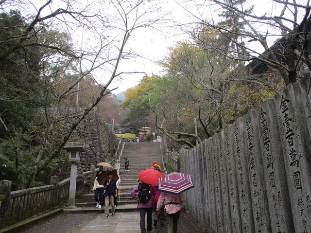 画像9: 【山旅会・登山ガイドこだわりツアー】岡田ガイドからの便り飯野山ツアーにいってまいりました!