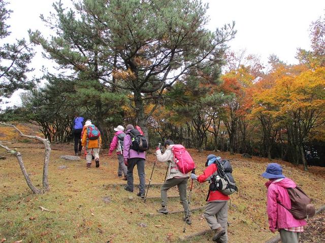 画像6: 【山旅会・登山ガイドこだわりツアー】岡田ガイドからの便り・寒霞渓から星ヶ城山ツアーにいってまいりました!
