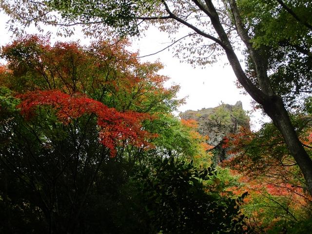 画像3: 【山旅会・登山ガイドこだわりツアー】岡田ガイドからの便り・寒霞渓から星ヶ城山ツアーにいってまいりました!