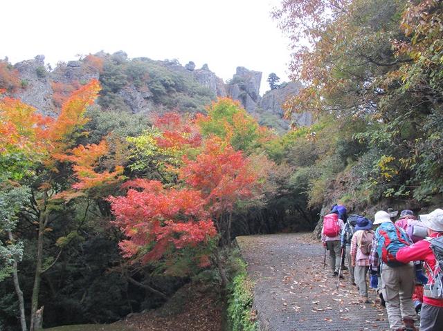 画像2: 【山旅会・登山ガイドこだわりツアー】岡田ガイドからの便り・寒霞渓から星ヶ城山ツアーにいってまいりました!