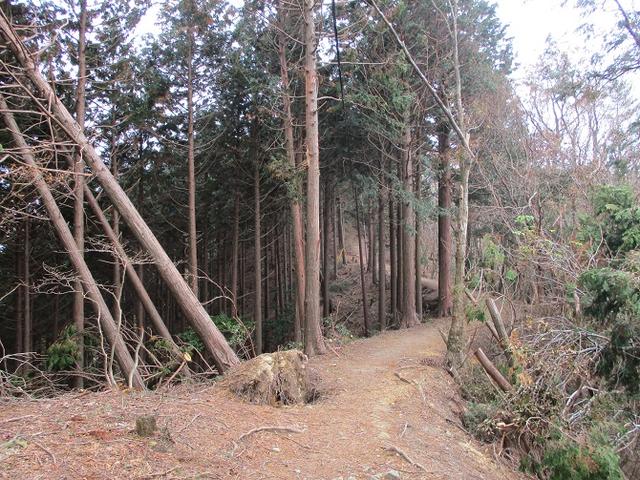 画像2: 【山旅会・登山ガイドこだわりツアー】山旅会ツアー12月までの催行状況