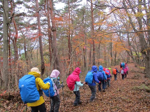 画像8: 【山旅会・登山ガイドこだわりツアー】添乗員からの便り・扇山ツアーにいってまいりました!