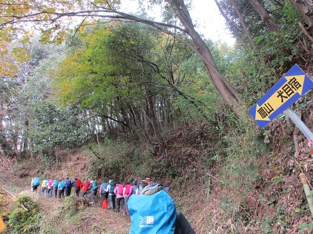 画像1: 【山旅会・登山ガイドこだわりツアー】添乗員からの便り・扇山ツアーにいってまいりました!