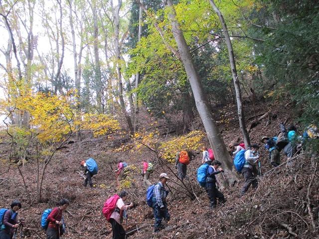 画像2: 【山旅会・登山ガイドこだわりツアー】添乗員からの便り・扇山ツアーにいってまいりました!