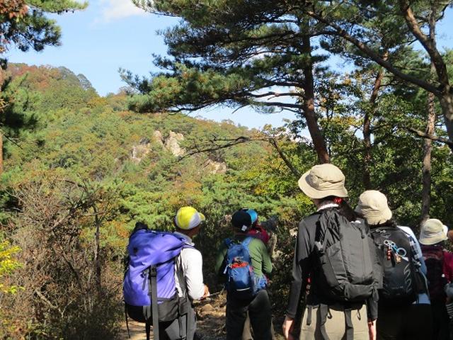 画像4: 【山旅会・登山ガイドこだわりツアー】岡田ガイドからの便り・両崖山から天狗山ツアーにいってまいりました!