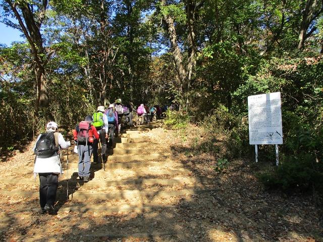 画像3: 【山旅会・登山ガイドこだわりツアー】岡田ガイドからの便り・両崖山から天狗山ツアーにいってまいりました!