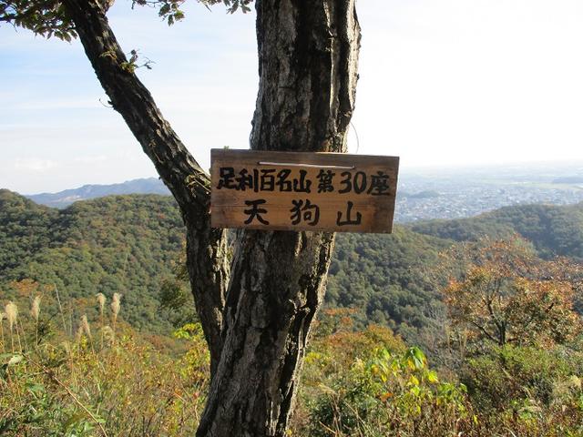 画像8: 【山旅会・登山ガイドこだわりツアー】岡田ガイドからの便り・両崖山から天狗山ツアーにいってまいりました!