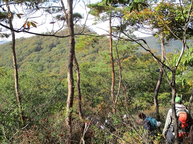 画像7: 【山旅会・登山ガイドこだわりツアー】岡田ガイドからの便り・両崖山から天狗山ツアーにいってまいりました!