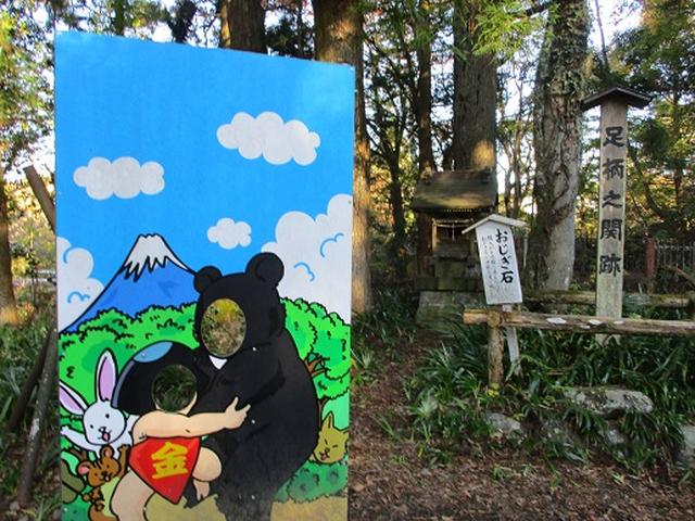 画像11: 【山旅会・登山ガイドこだわりツアー】添乗員からの便り矢倉岳ツアーにいってまいりました!