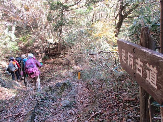 画像12: 【山旅会・登山ガイドこだわりツアー】添乗員からの便り矢倉岳ツアーにいってまいりました!
