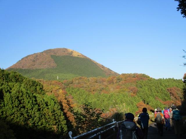 画像13: 【山旅会・登山ガイドこだわりツアー】添乗員からの便り矢倉岳ツアーにいってまいりました!