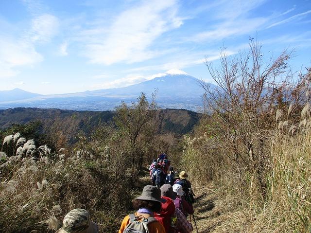 画像8: 【山旅会・登山ガイドこだわりツアー】添乗員からの便り矢倉岳ツアーにいってまいりました!