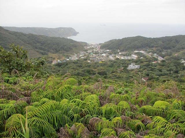 画像3: 【山旅会・登山ガイドこだわりツアー】神津島ツアーの下見にいってまいりました!