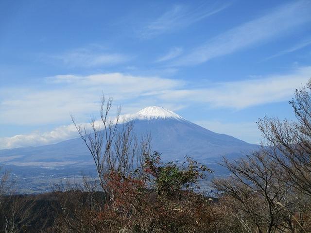 画像5: 【山旅会・登山ガイドこだわりツアー】添乗員からの便り矢倉岳ツアーにいってまいりました!