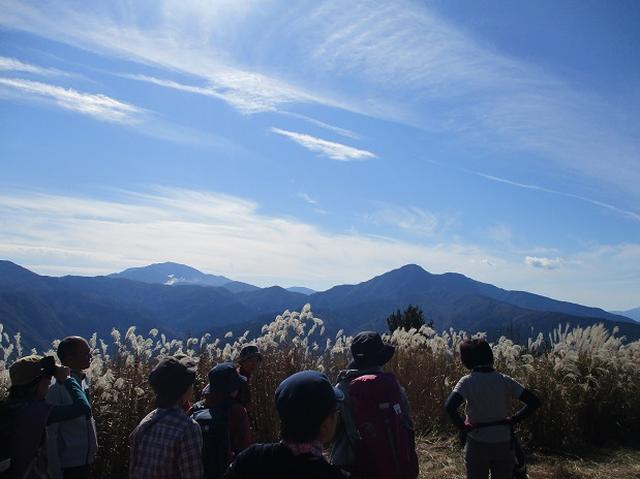画像7: 【山旅会・登山ガイドこだわりツアー】添乗員からの便り矢倉岳ツアーにいってまいりました!