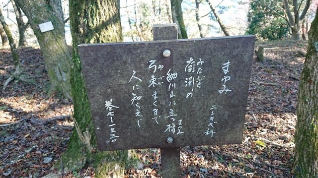 画像10: 【山旅会・登山ガイドこだわりツアー】添乗員からの便り矢倉岳ツアーにいってまいりました!