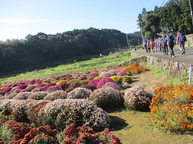 画像2: 【山旅会・登山ガイドこだわりツアー】添乗員からの便り矢倉岳ツアーにいってまいりました!