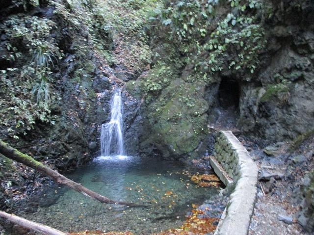 画像4: 【山旅会・登山ガイドこだわりツアー】岡田ガイドからの便り・戸倉城山ツアーの下見にいってまいりました!