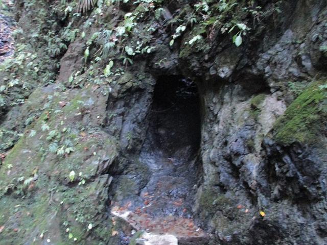 画像5: 【山旅会・登山ガイドこだわりツアー】岡田ガイドからの便り・戸倉城山ツアーの下見にいってまいりました!