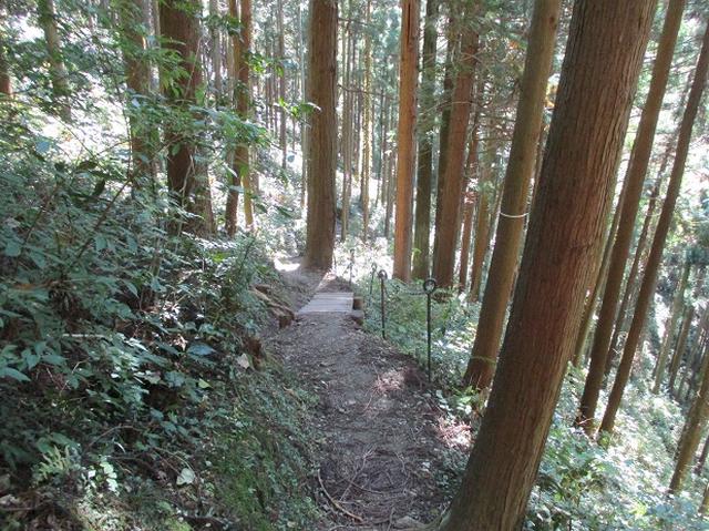 画像3: 【山旅会・登山ガイドこだわりツアー】岡田ガイドからの便り・戸倉城山ツアーの下見にいってまいりました!