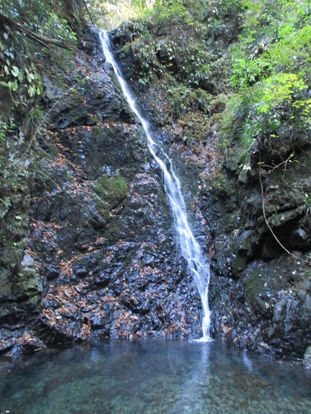 画像6: 【山旅会・登山ガイドこだわりツアー】岡田ガイドからの便り・戸倉城山ツアーの下見にいってまいりました!