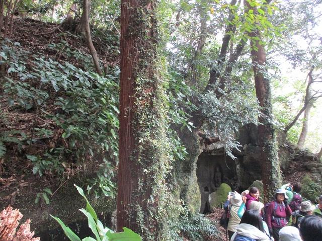 画像4: 【山旅会・登山ガイドこだわりツアー】岡田ガイドからの便り・散在ヶ池から祇園山ツアーにいってまいりました!