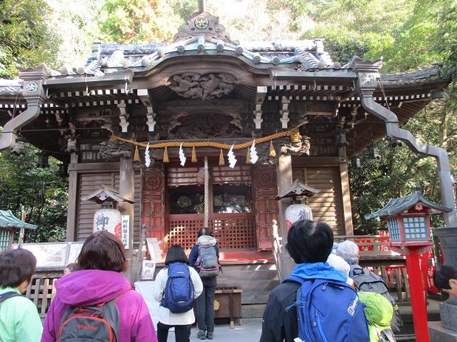 画像12: 【山旅会・登山ガイドこだわりツアー】岡田ガイドからの便り・散在ヶ池から祇園山ツアーにいってまいりました!