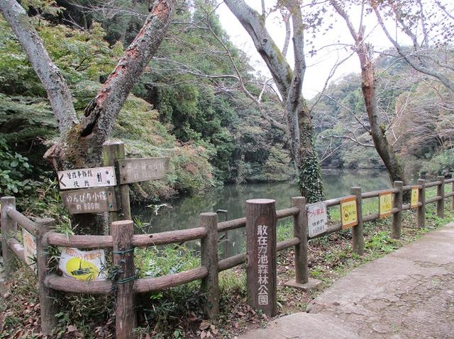 画像1: 【山旅会・登山ガイドこだわりツアー】岡田ガイドからの便り・散在ヶ池から祇園山ツアーにいってまいりました!