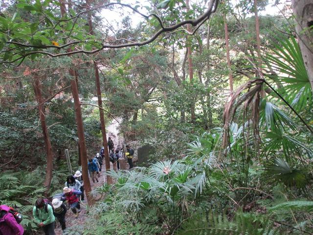 画像7: 【山旅会・登山ガイドこだわりツアー】岡田ガイドからの便り・散在ヶ池から祇園山ツアーにいってまいりました!