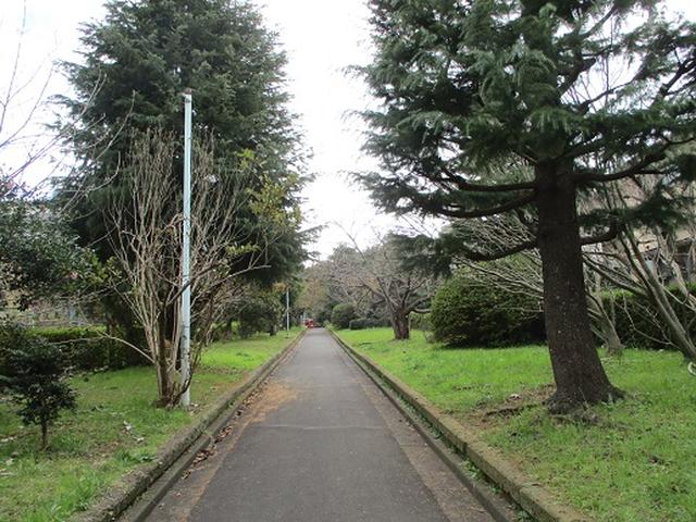 画像3: 【山旅会・登山ガイドこだわりツアー】岡田ガイドからの便り・散在ヶ池から祇園山ツアーにいってまいりました!