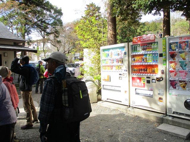 画像6: 【山旅会・登山ガイドこだわりツアー】岡田ガイドからの便り・散在ヶ池から祇園山ツアーにいってまいりました!