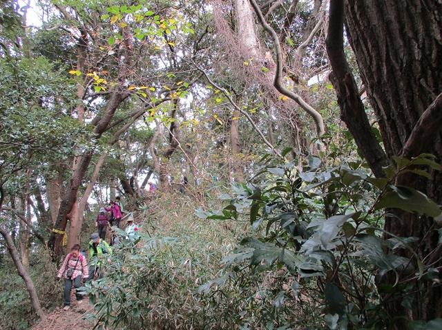画像8: 【山旅会・登山ガイドこだわりツアー】岡田ガイドからの便り・散在ヶ池から祇園山ツアーにいってまいりました!