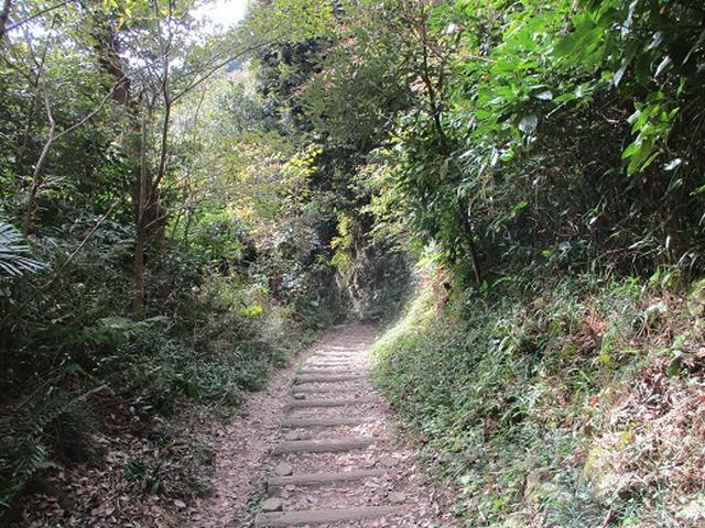 画像5: 【山旅会・登山ガイドこだわりツアー】岡田ガイドからの便り・散在ヶ池から祇園山ツアーにいってまいりました!